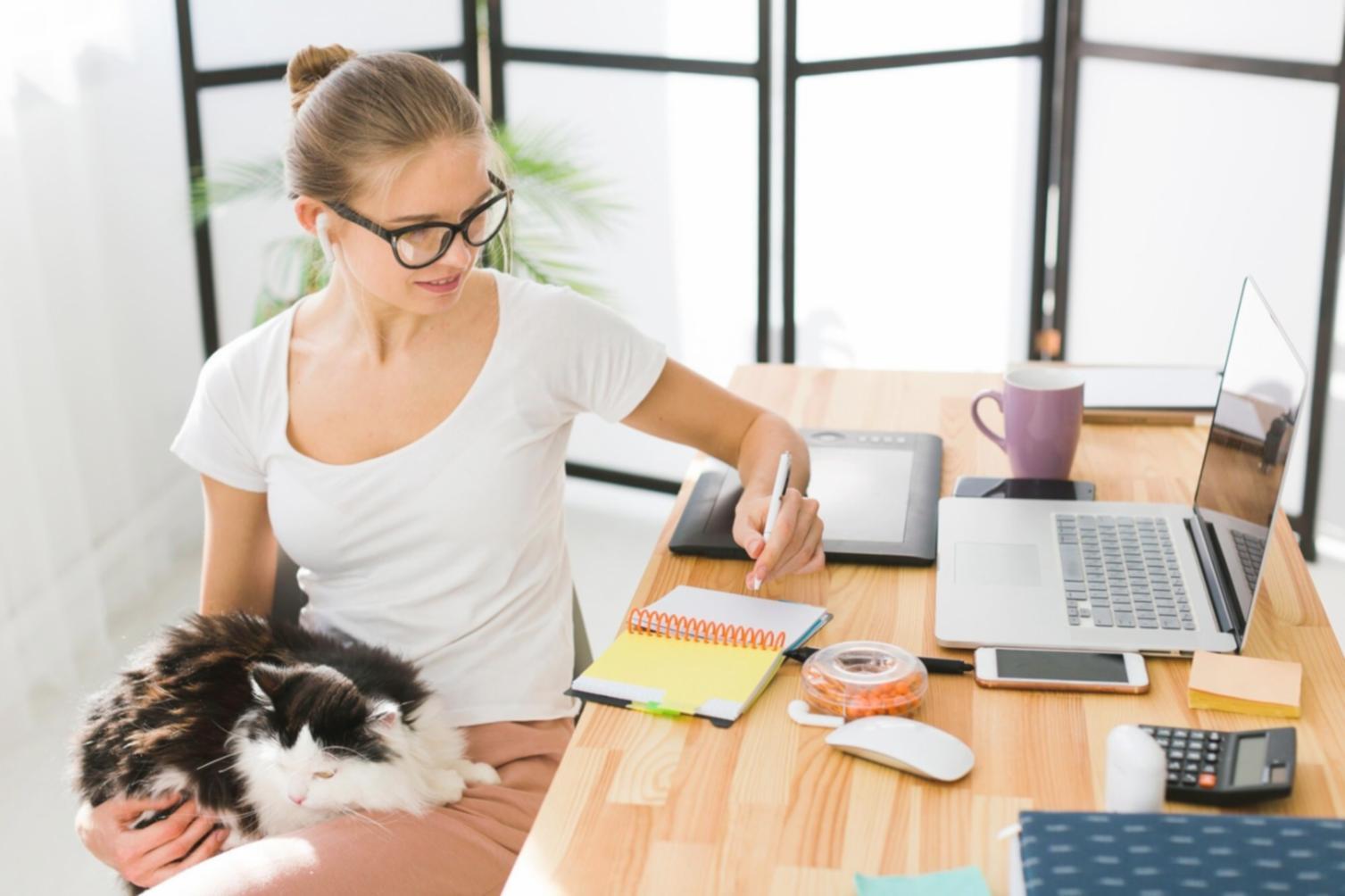 Espace de travail avec analyse financière